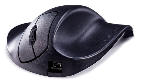 Handshoe Mouse (A154)